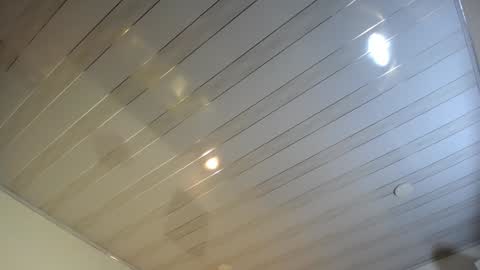 Rose online show from December 19, 2024, 12:23 pm