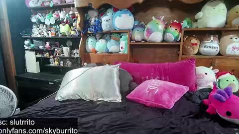 Snapshot of queer_burrito chatting on October 6, 2025, 5:32 pm Sky Burrito online show from October 6, 2025, 5:32 pm