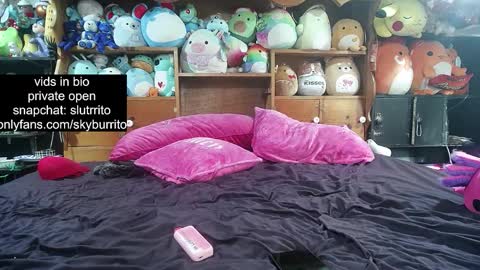 Snapshot of queer_burrito chatting on October 18, 2025, 11:38 pm Sky Burrito online show from October 18, 2025, 11:38 pm