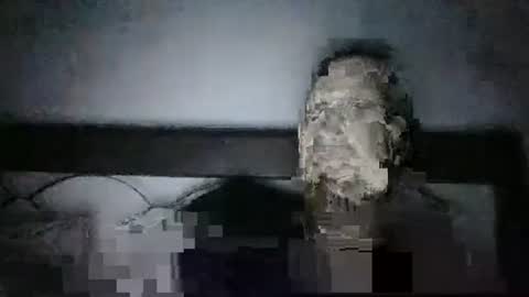 Snapshot of qwezxcqweasdzxc chatting on October 23, 2025, 2:44 am qwezxcqweasdzxc online show from October 23, 2025, 2:44 am