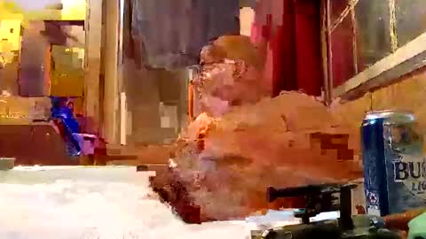 Snapshot of rabidsquirrell chatting on February 5, 2025, 12:53 am rabidsquirrell online show from February 5, 2025, 12:53 am