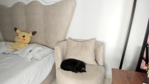 natalia  -  online show from December 17, 2024, 8:12 am