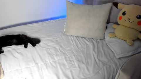 natalia  -  online show from January 28, 2025, 9:30 am