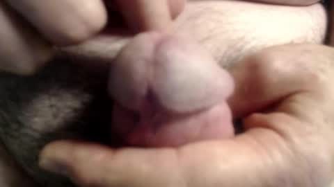 Ray online show from November 6, 2025, 1:45 pm