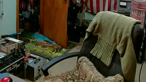 Randall online show from February 27, 2025, 7:58 pm