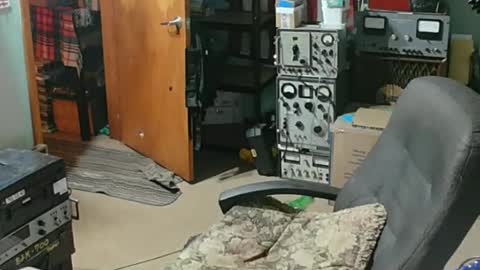 Randall online show from April 21, 2026, 12:56 am