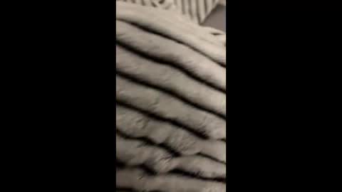 randyjohnson504 online show from November 9, 2025, 5:06 am