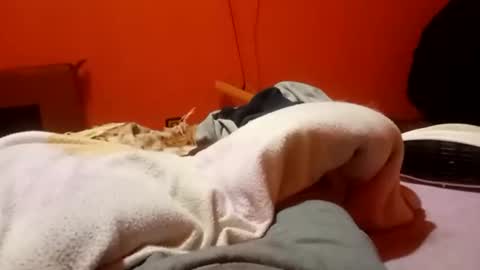 raulillo19842 online show from February 19, 2026, 12:28 am