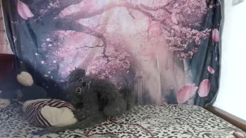 ravenlotus online show from June 25, 2026, 7:40 pm