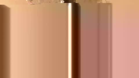 Mountain Man online show from November 26, 2025, 2:34 am