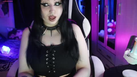 My kittensIm on vacation until July 25th. You can join the fan club  free content  online show from April 13, 2026, 6:35 pm