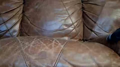 Snapshot of razorhoof676329782 chatting on January 15, 2026, 7:13 am Doyle Wesley Coody III online show from January 15, 2026, 7:13 am