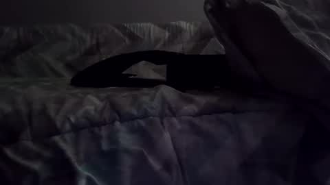 rcalty online show from November 10, 2025, 1:37 am