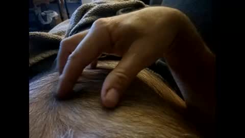 rdt2030 online show from December 8, 2024, 7:54 pm