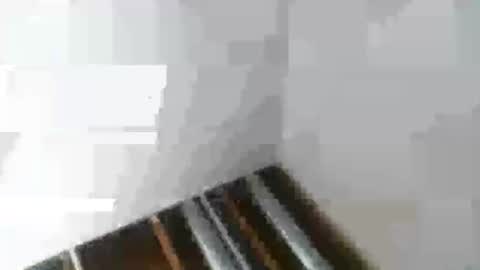 Snapshot of rdyforitall chatting on January 6, 2025, 2:48 am Mr Nice online show from January 6, 2025, 2:48 am