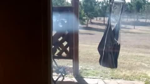 ready4aride2day online show from February 18, 2026, 3:52 pm