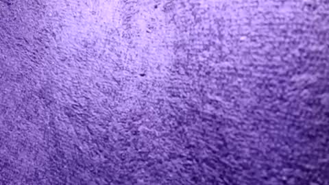 Rasta online show from October 21, 2025, 6:30 pm