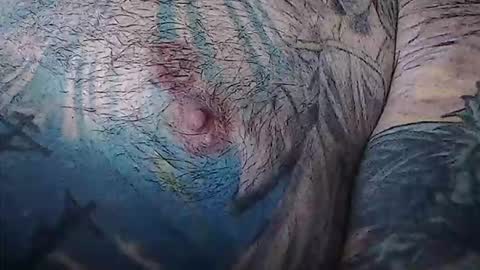 realrubpirate online show from February 3, 2026, 9:03 am