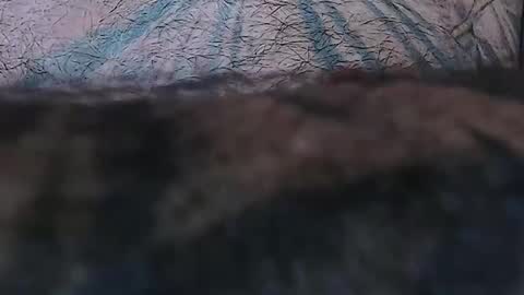 realrubpirate online show from April 15, 2026, 9:16 am