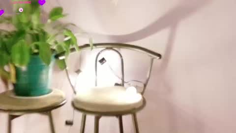 Snapshot of rebeccawhite_meow chatting on June 11, 2026, 2:53 am rebeccawhite_meow online show from June 11, 2026, 2:53 am