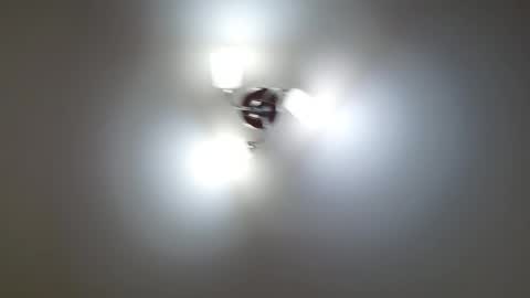 Lisa online show from February 12, 2026, 1:17 pm