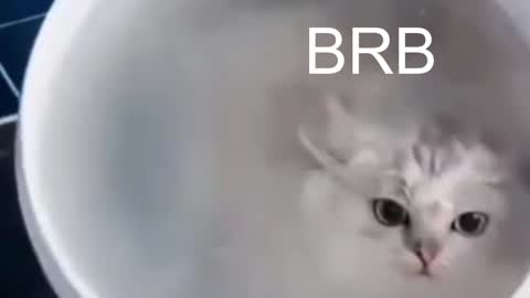 QUEEN OF EVIL online show from January 10, 2025, 12:17 am