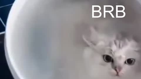 QUEEN OF EVIL online show from January 12, 2025, 10:54 pm