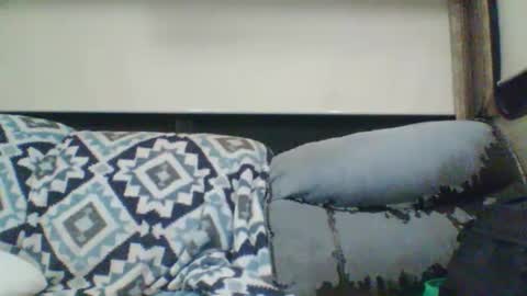 reese960384 online show from January 11, 2026, 7:35 am