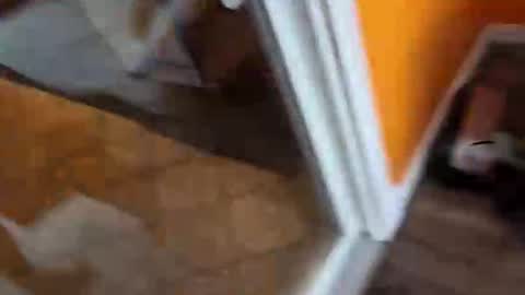 reggie007007 online show from January 7, 2026, 2:08 pm