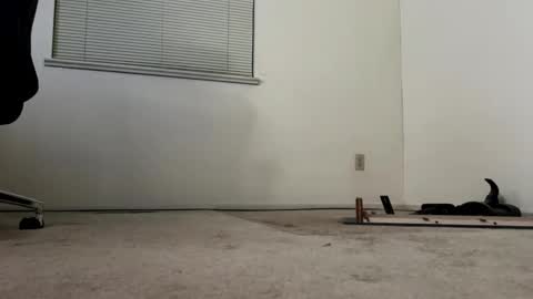 regular03 online show from October 27, 2025, 8:18 am