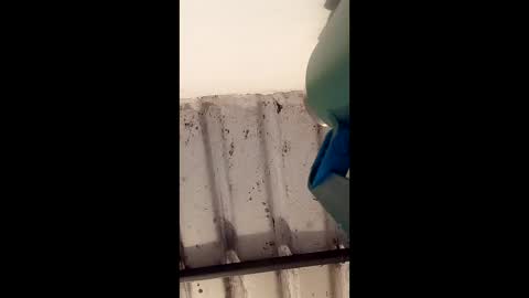 reinft online show from March 1, 2026, 10:06 am