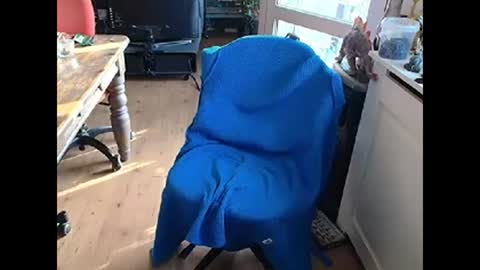 Snapshot of relaxyio chatting on March 10, 2025, 7:42 am relaxyio online show from March 10, 2025, 7:42 am