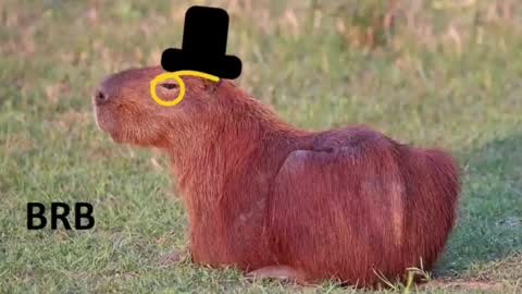 Chris online show from January 16, 2026, 1:31 am