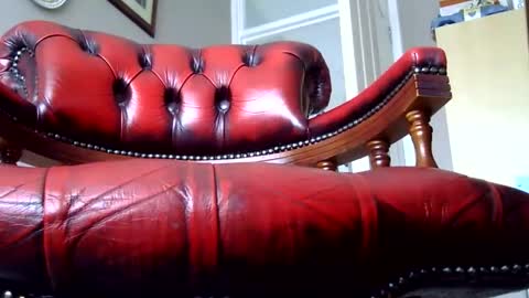 Ridgepole online show from November 5, 2025, 10:15 am