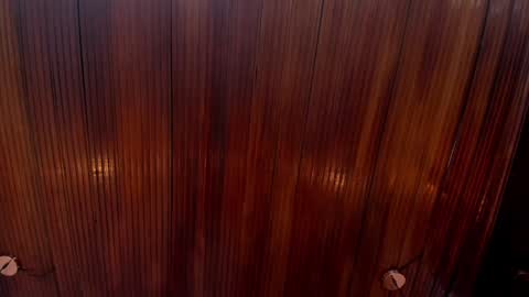 kamila online show from December 24, 2024, 2:12 pm