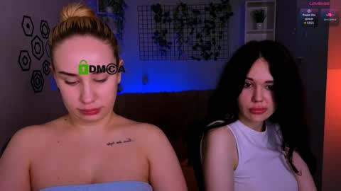 Meow online show from May 13, 2026, 7:22 pm