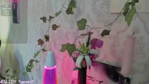 My name is Riley Like my broadcast pls 3 online show from July 25, 2026, 3:15 am