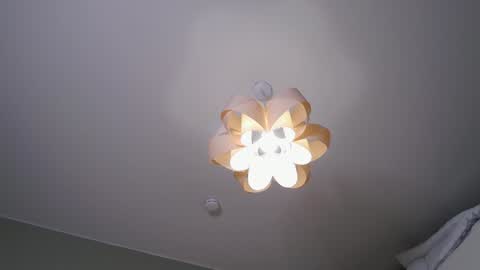 Rina online show from December 24, 2024, 9:17 am