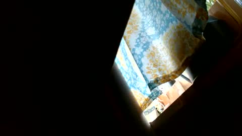 riskyjizznessss online show from December 31, 2024, 4:46 pm