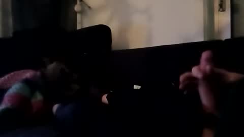 robbdmser3454 online show from March 6, 2026, 8:55 am