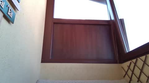 Roberto online show from October 11, 2025, 10:03 am