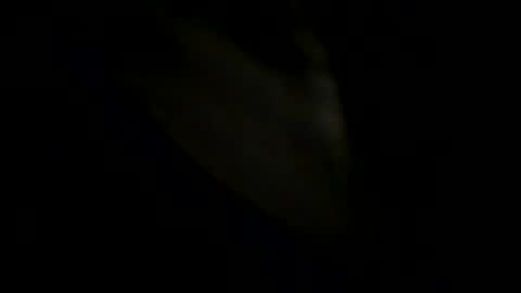 Snapshot of robertsmethurst chatting on May 31, 2026, 6:09 pm Johnny online show from May 31, 2026, 6:09 pm