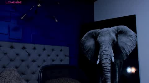 rocco_santos online show from September 21, 2025, 7:21 am