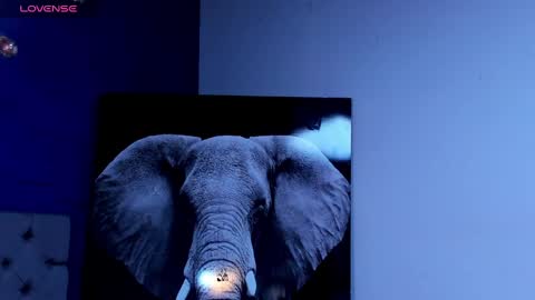 rocco_santos online show from October 4, 2025, 1:14 am