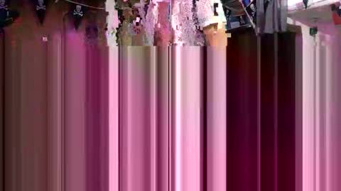 rod77knee online show from September 26, 2025, 8:07 am