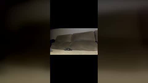 rogerbenid81 online show from April 5, 2026, 11:35 pm