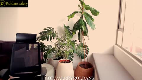 Valery Roldans online show from December 13, 2024, 9:52 pm