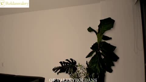 Valery Roldans online show from February 5, 2025, 2:51 am