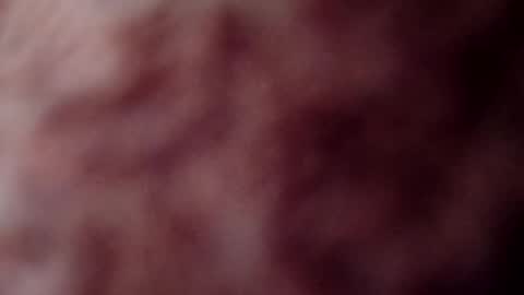 Snapshot of rose12161216 chatting on November 3, 2025, 3:13 pm rose12161216 online show from November 3, 2025, 3:13 pm