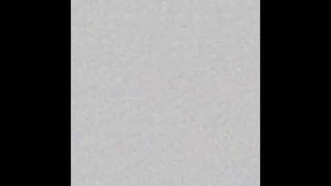 Rose online show from October 23, 2025, 6:50 pm